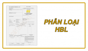 HOUSE BILL OF LADING: PHÂN LOẠI HBL