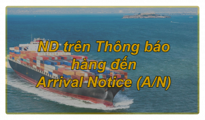 Nội dung trên Thông báo hàng đến - Arrival Notice (A/N)