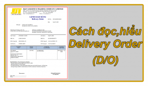 Cách đọc, hiểu nội dung: Lệnh giao hàng (Delivery Order – D/O)