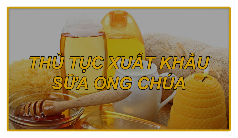 thu-tuc-xuat-khau-sua-ong-chua-1