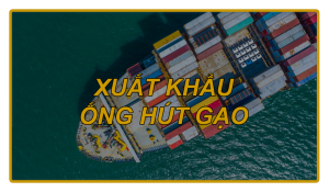 xuat-khau-ong-hut-gao